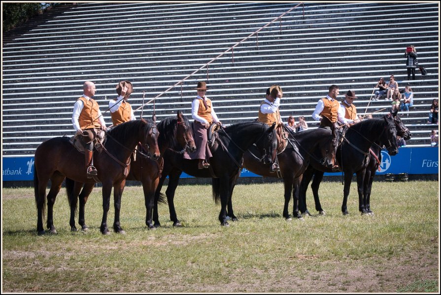 Pferd International 024